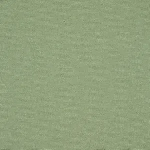 altea willow