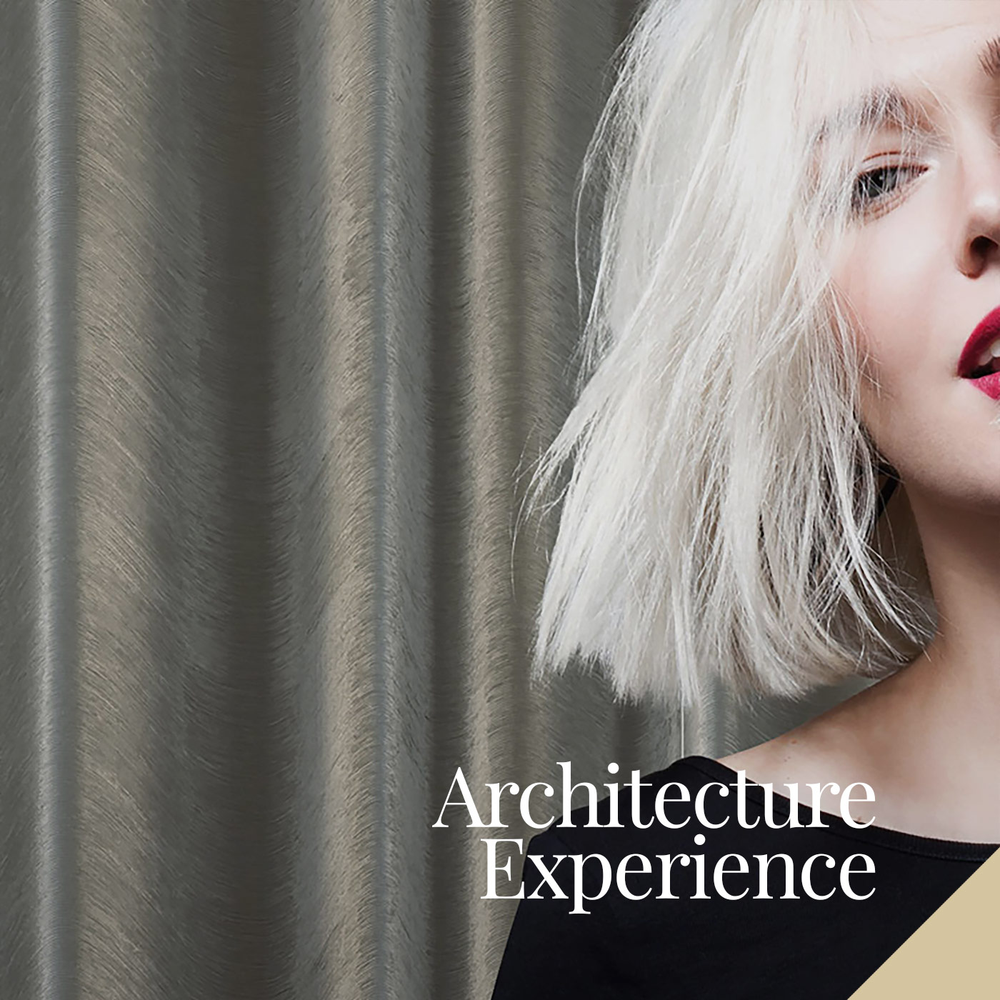 ARCHITECTURE EXPERIENCE