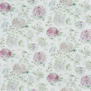 lila blossom