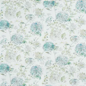 lila lichen