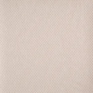 oxford petal