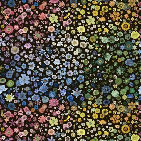 DESIGNER GUILD™ CL
