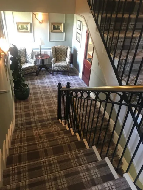 hotelski tepisi itisoni 53