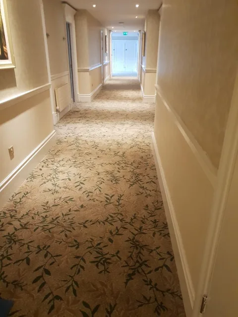 hotelski tepisi itisoni 44