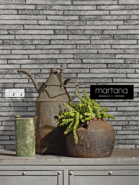 58420_1-marahome