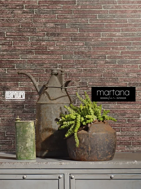 58421-marahome