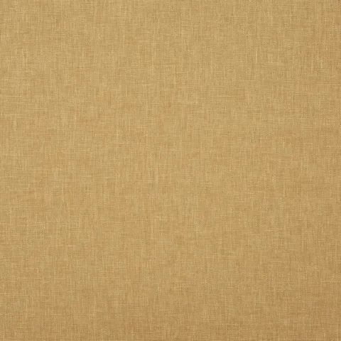 oslo maize orig
