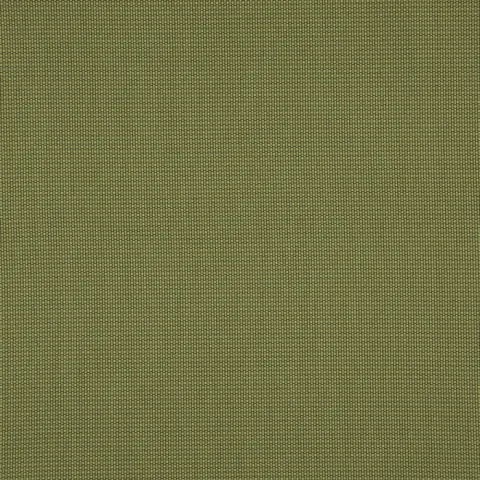 penzance olive