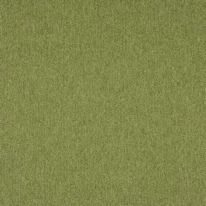 flynn cactus