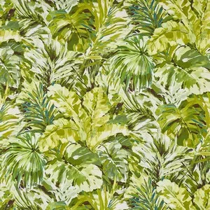 palmyra oasis