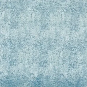 terrain ocean