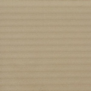 everlasting satinwood